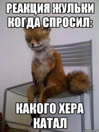 реакция жульки когда спросил: какого хера катал