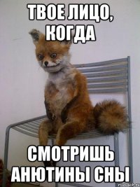 твое лицо, когда смотришь анютины сны