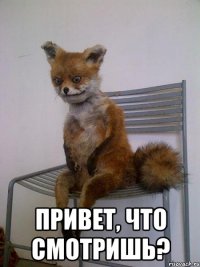  привет, что смотришь?