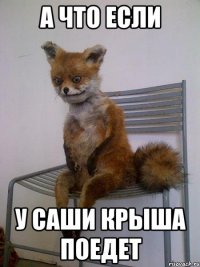 а что если у саши крыша поедет