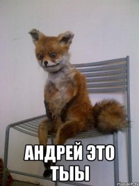  андрей это тыы