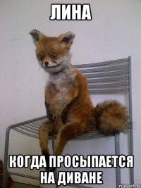 лина когда просыпается на диване
