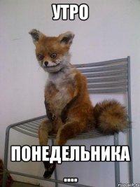 утро понедельника ....