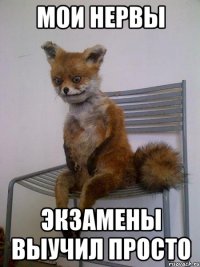 мои нервы экзамены выучил просто
