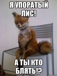 я упоратый лис! а ты кто блять!?