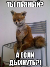 ты пьяный? а если дыхнуть?!