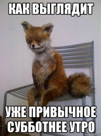 как выглядит уже привычное субботнее утро