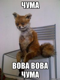 чума вова вова чума