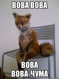 вова вова вова вова-чума