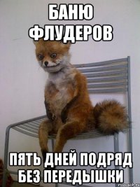 баню флудеров пять дней подряд без передышки