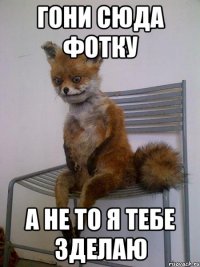 гони сюда фотку а не то я тебе зделаю