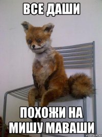 все даши похожи на мишу маваши