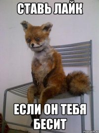 ставь лайк если он тебя бесит