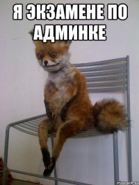 я экзамене по админке 