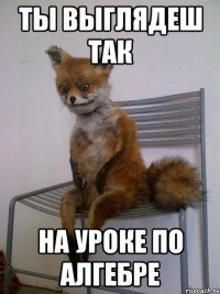 ты выглядеш так на уроке по алгебре
