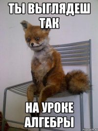 ты выглядеш так на уроке алгебры