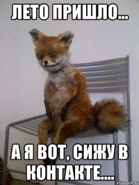 лето пришло... а я вот, сижу в контакте....