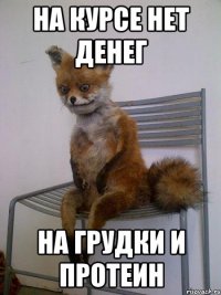 на курсе нет денег на грудки и протеин