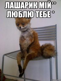 лашарик мiй** люблю тебе * 