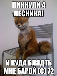 пикнули 4 лесника! и куда блядть мне барой (с) 72