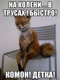 на колени ....в трусах ! быстро! комон! детка!