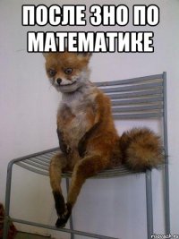 после зно по математике 