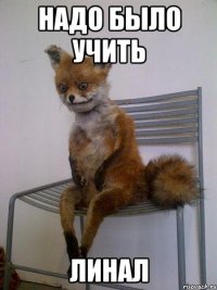 надо было учить линал
