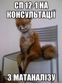 сп 12-1 на консультації з матаналізу