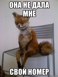 она не дала мне свой номер