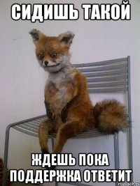 сидишь такой ждешь пока поддержка ответит