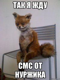 так я жду смс от нуржика