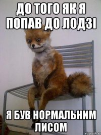 до того як я попав до лодзі я був нормальним лисом