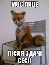 моє лице після здачі сесії