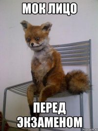 мок лицо перед экзаменом