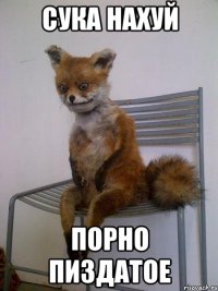 сука нахуй порно пиздатое