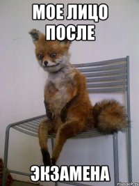 мое лицо после экзамена