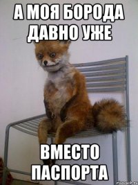 а моя борода давно уже вместо паспорта
