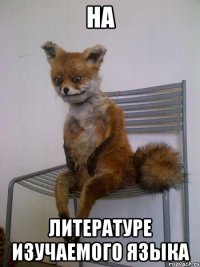 на литературе изучаемого языка