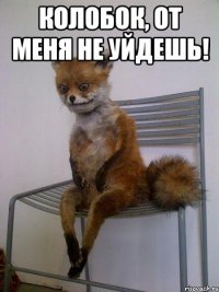 колобок, от меня не уйдешь! 