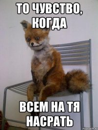 то чувство, когда всем на тя насрать