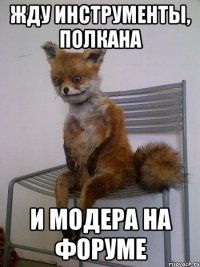жду инструменты, полкана и модера на форуме
