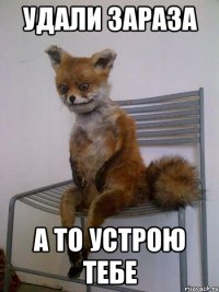 удали зараза а то устрою тебе