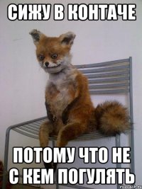 сижу в контаче потому что не с кем погулять