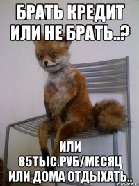 брать кредит или не брать..? или 85тыс.руб/месяц или дома отдыхать..