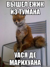 вышел ежик из тумана уася де марихуана