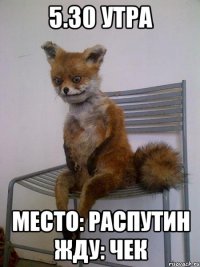 5.30 утра место: распутин жду: чек