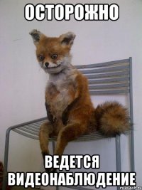 осторожно ведется видеонаблюдение