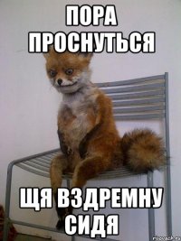 пора проснуться щя вздремну сидя