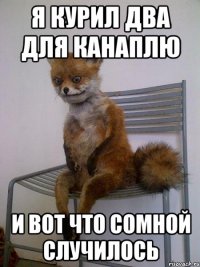 я курил два для канаплю и вот что сомной случилось