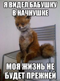 я видел бабушку в начнушке моя жизнь не будет прежней